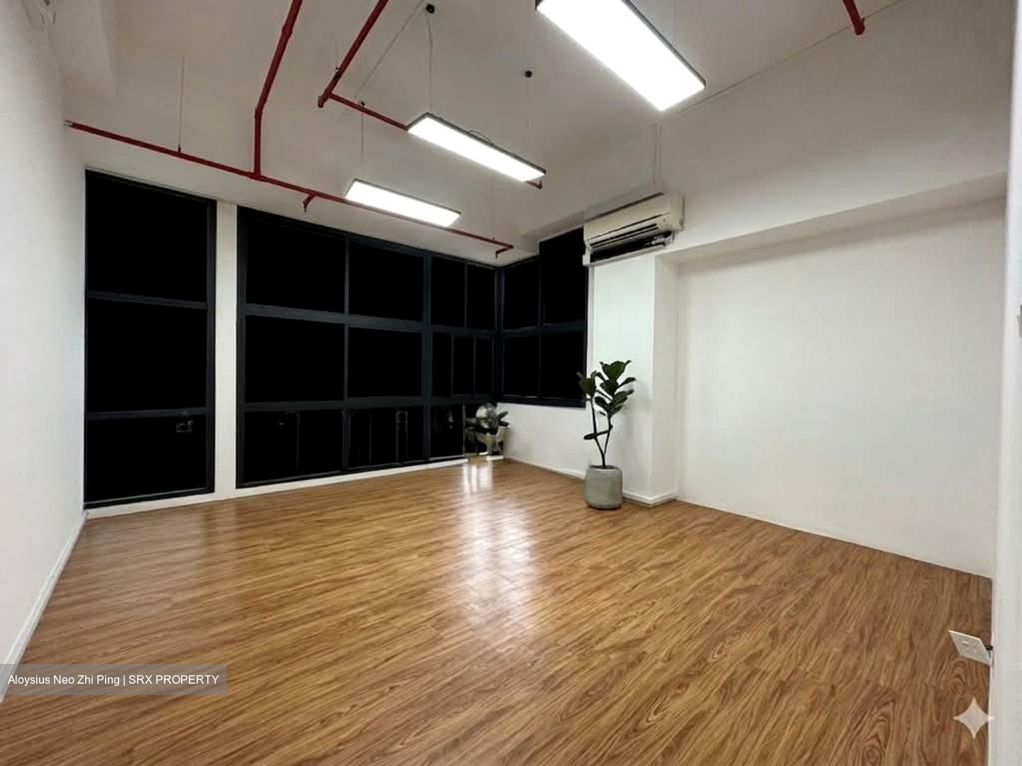 Primz Bizhub (D25), Factory #562951311